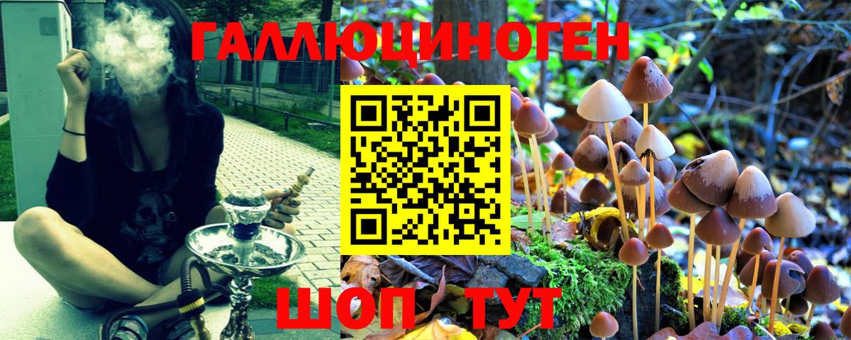 Галлюциногенные грибы прущие грибы  Вход с VPN  Менделеевск 